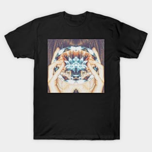 Through the Looking Glass T-Shirt